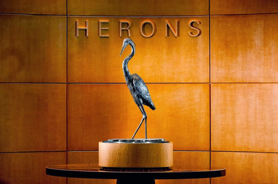 Herons