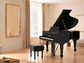 施坦威钢琴 - Hopper Piano