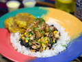 Alpaca Peruvian Charcoal Chicken